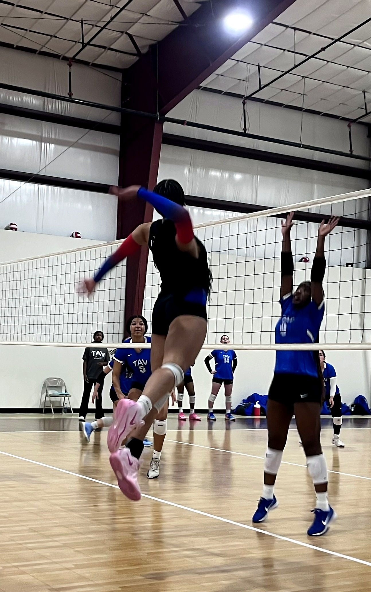 Kaitlyn Green blocking at the net